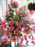 ҹѴ͡Թ Shanel LK Flower Hua Hin Thailand